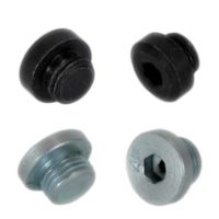 AGR-OBTM / AGR-BOBTM : Bouchon M10 x 100 - accessoire hydraulique