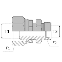 RFTUM : Adaptateur droit mâle 24° x femelle tournant 24°